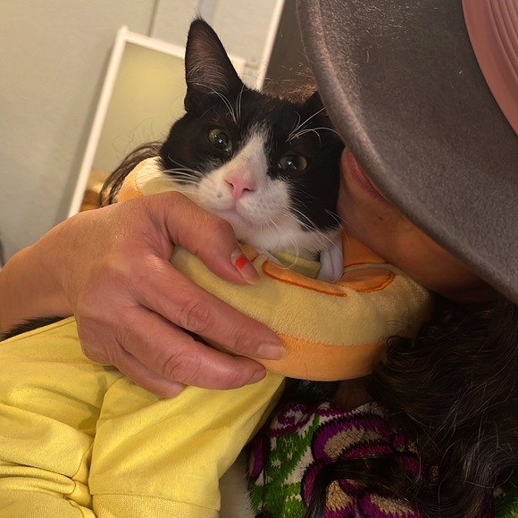 Meet your Posher, Elsa - Picture 2 of 4